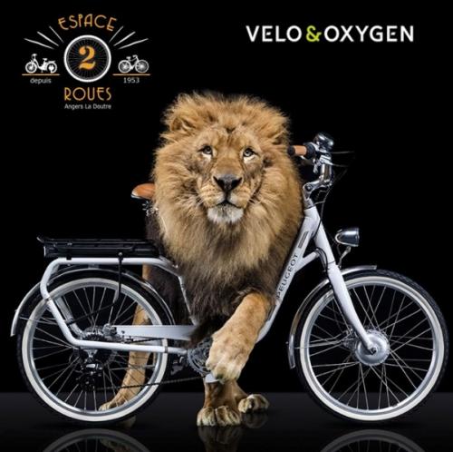 Revendeur Cycles Peugeot - Velo&oxygen