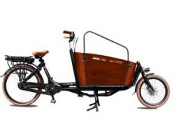 Biporteur VOGUE électrique CARRY II 26