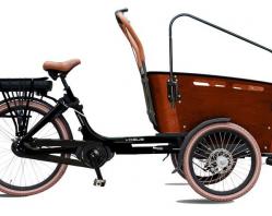 Triporteur VOGUE électrique CARRY III 26