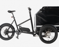 Triporteur TreeBike  CargoBike lugbox 420 - idéale livraison