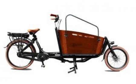 Biporteur VOGUE électrique CARRY II 26