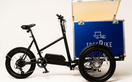 Triporteur TreeBike CargoBike (caisse Livraison)