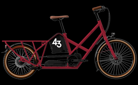 Longtail Bike43 ALPSTER - Moteur BOSCH